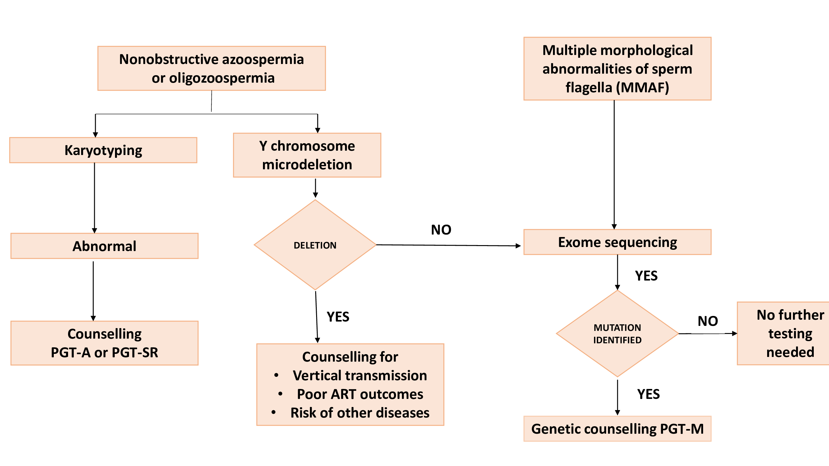 Algorithm for genetic testing in men with obstructive azoospermia
