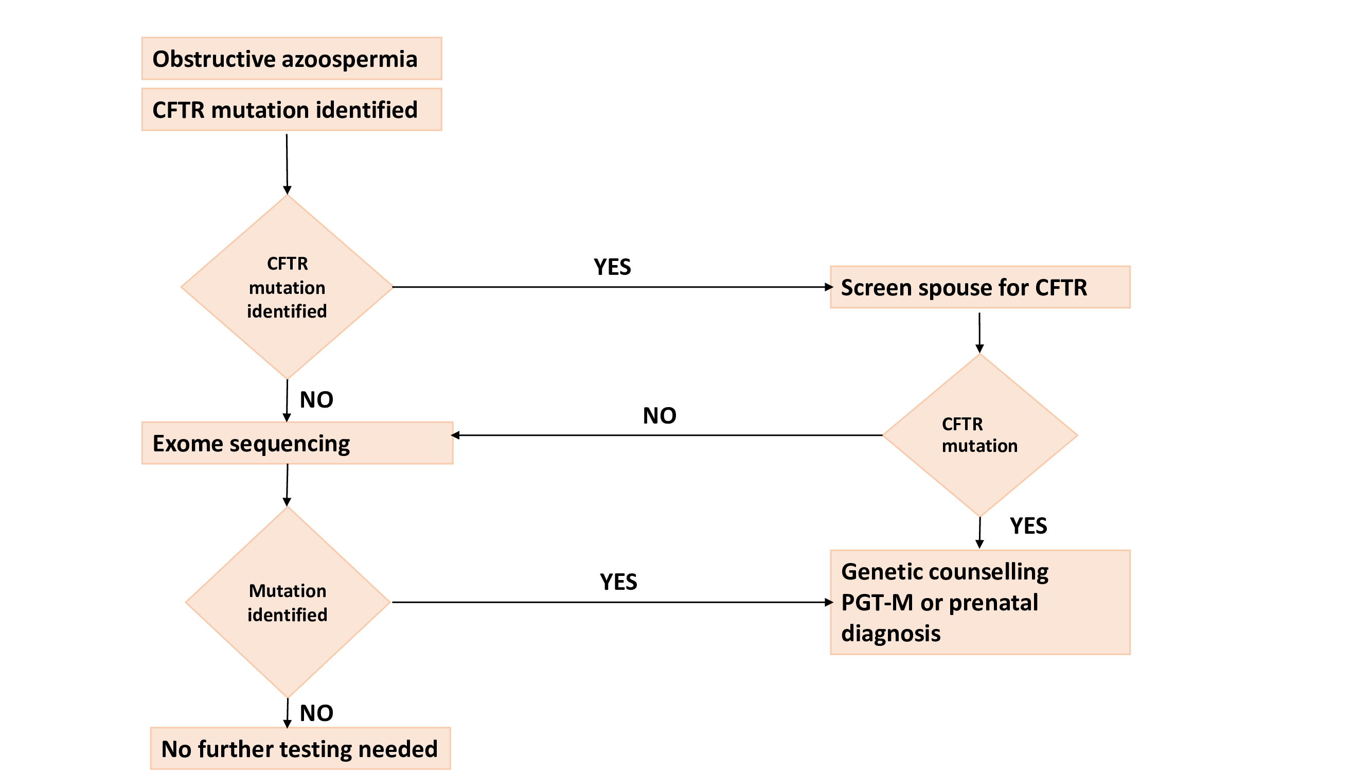 Algorithm for genetic testing in men with obstructive azoospermia