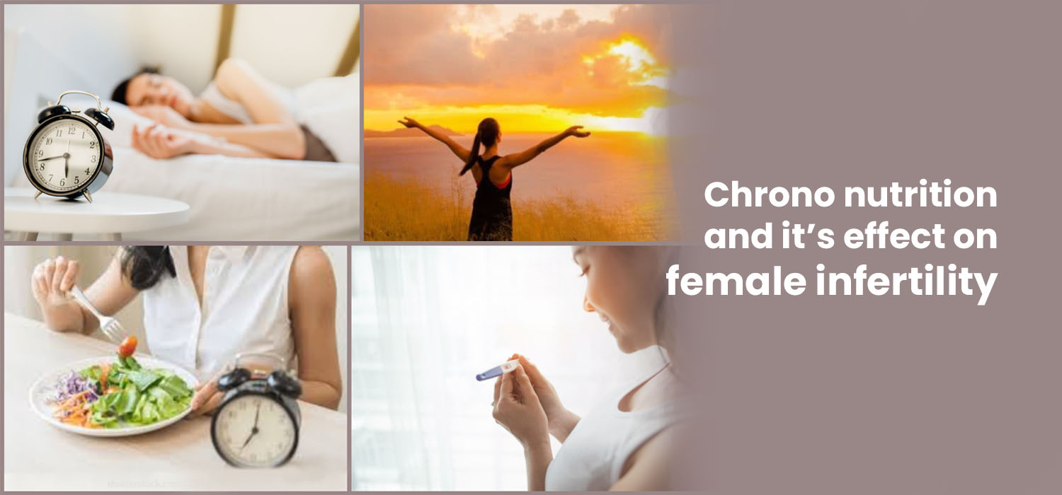 chrono nutrition and female infertility