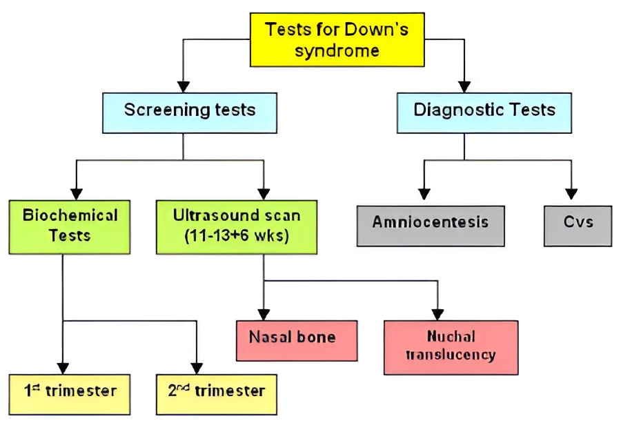 diagnosis of down syndrome