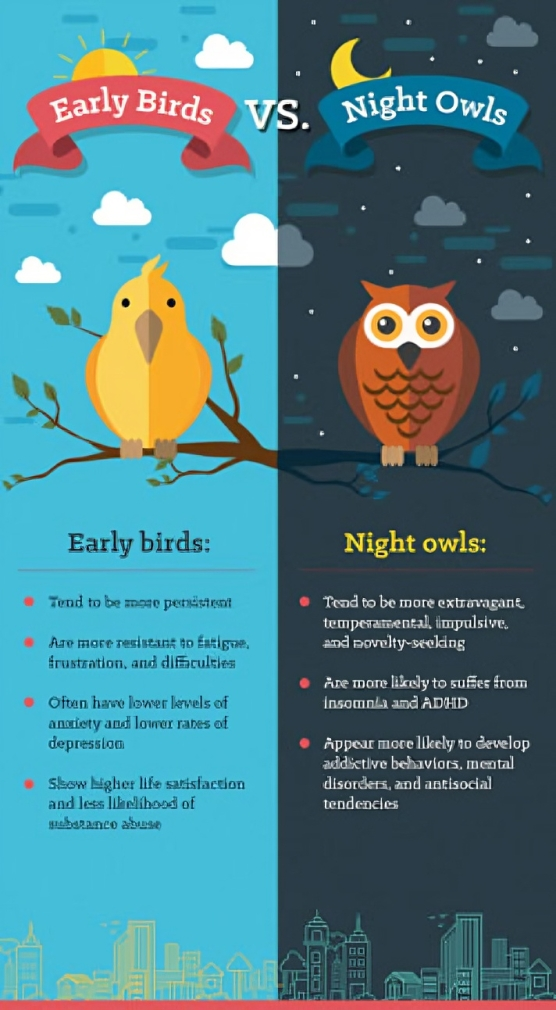early bird vs night owl