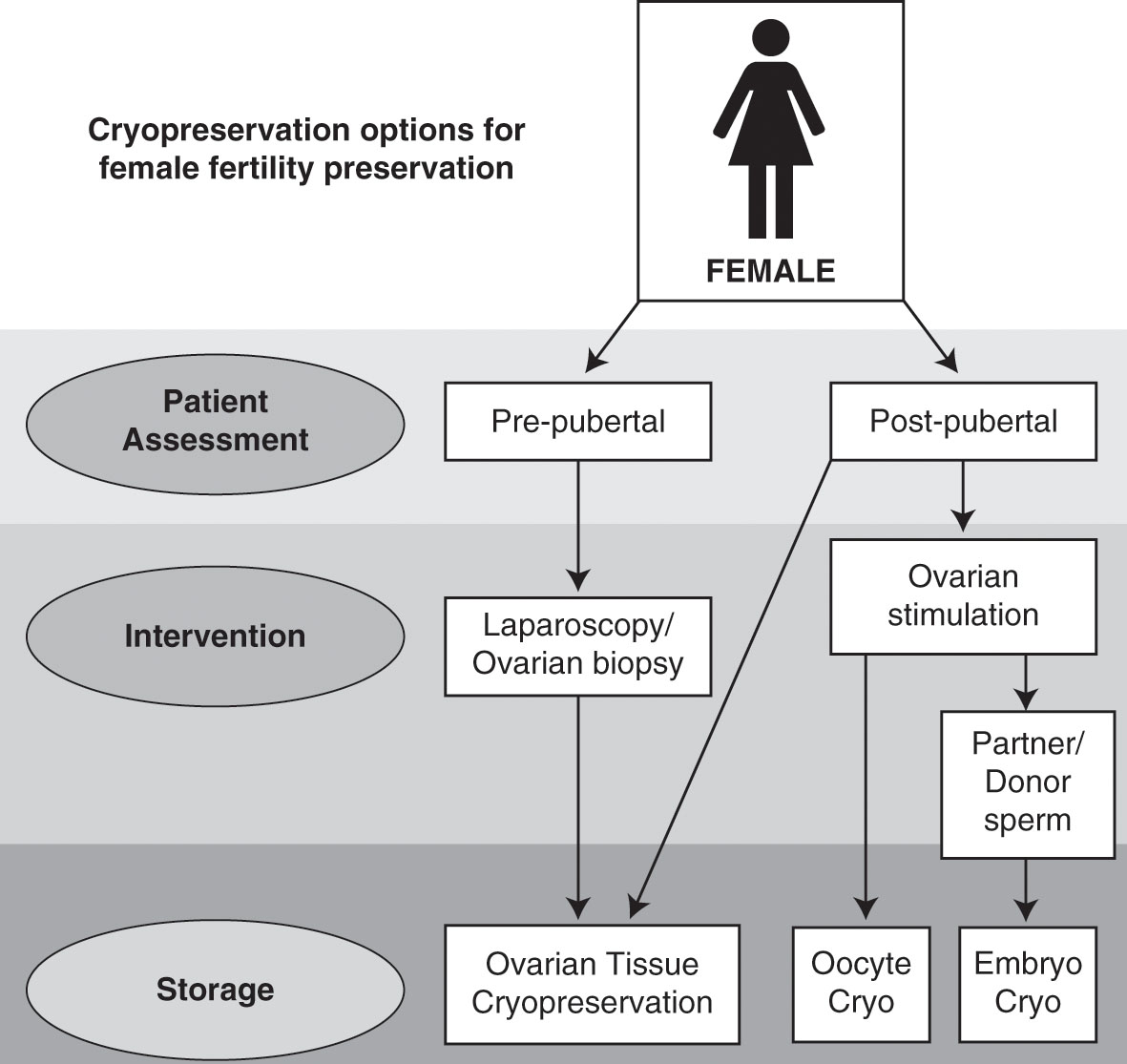 fertility preservation in female