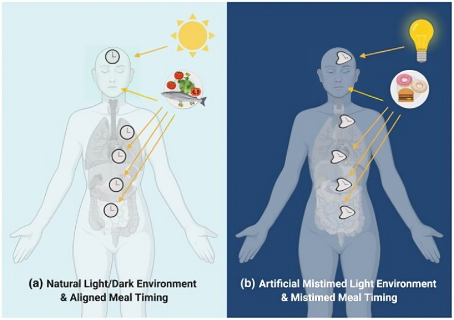 natural light dark vs unnatural light dark effect on health