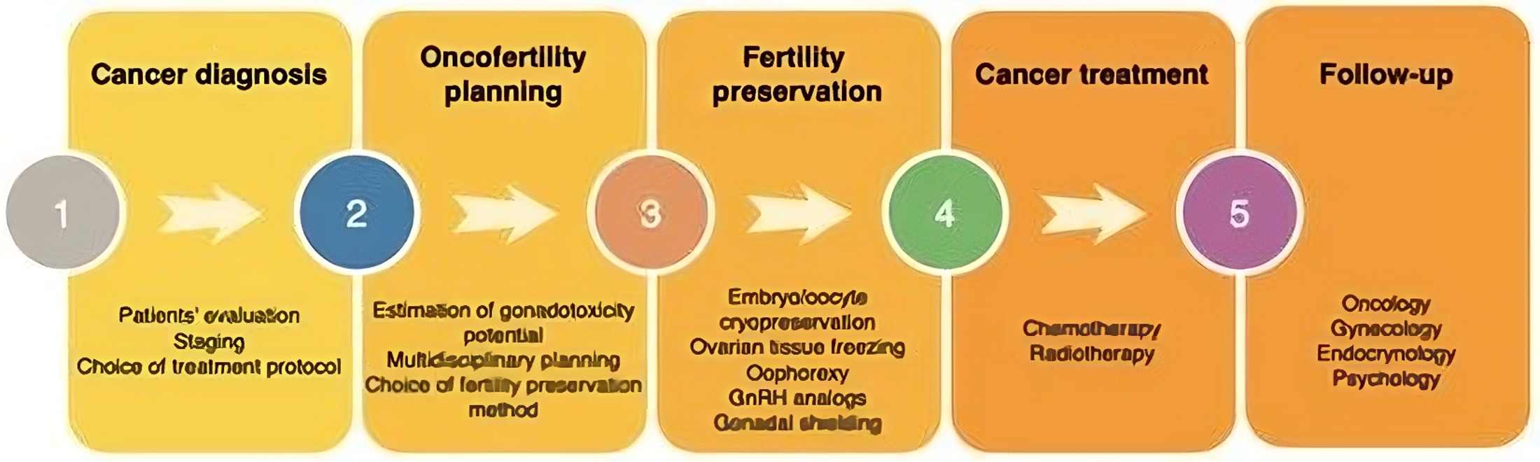 steps involved in fertility preservation transformed