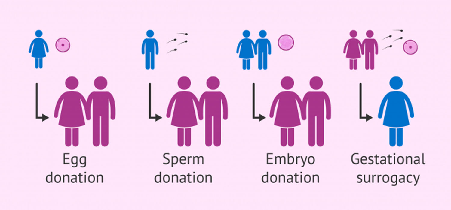Third party reproduction-Egg/Embryo donation