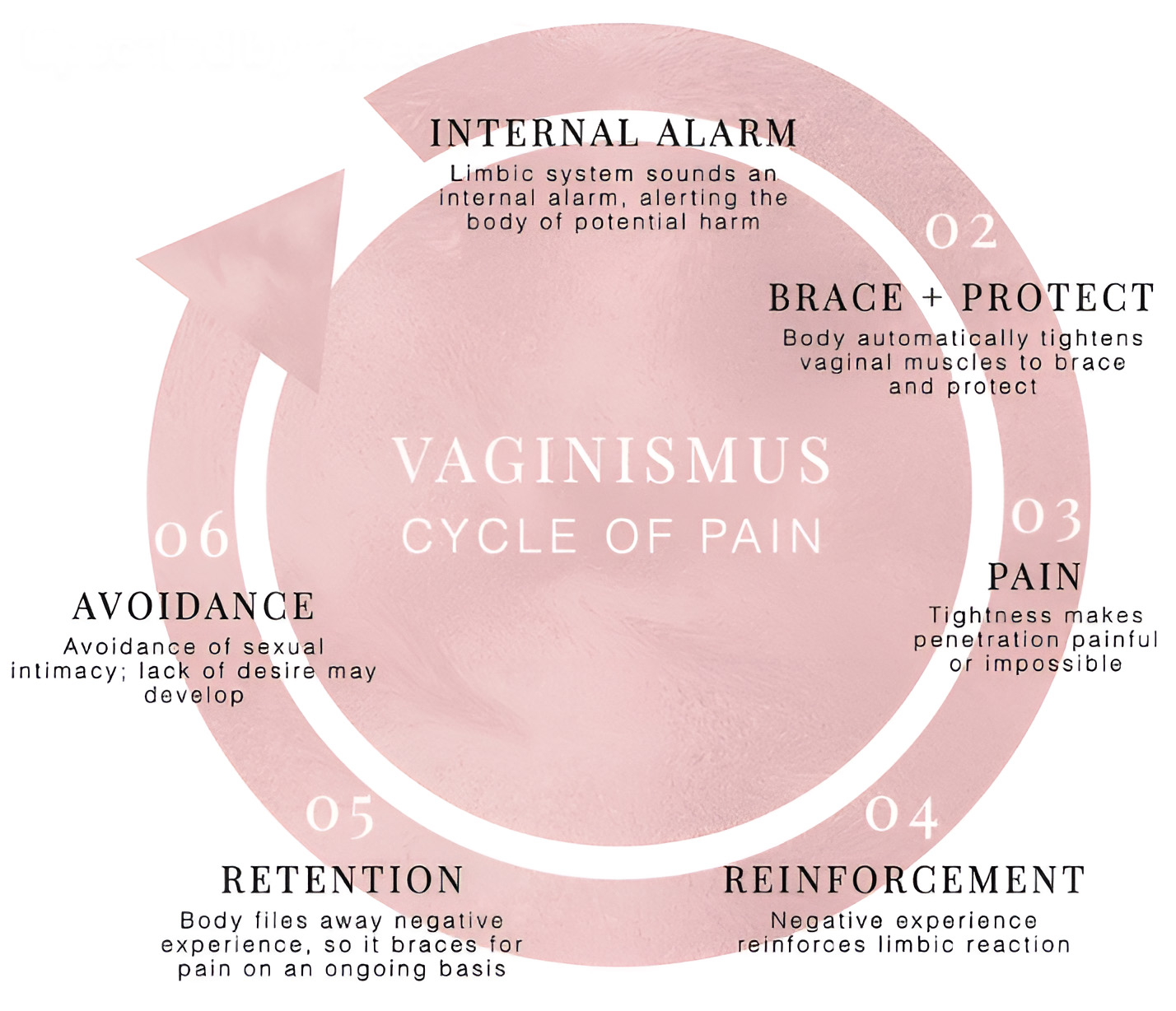 vaginismus cycle