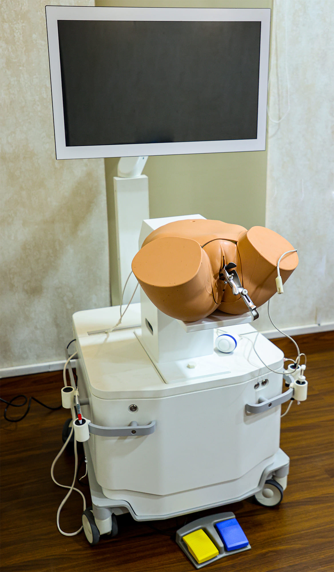 ultrasound course simulator